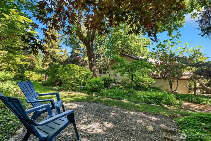 Upper yard has traditionally been used as firepit area