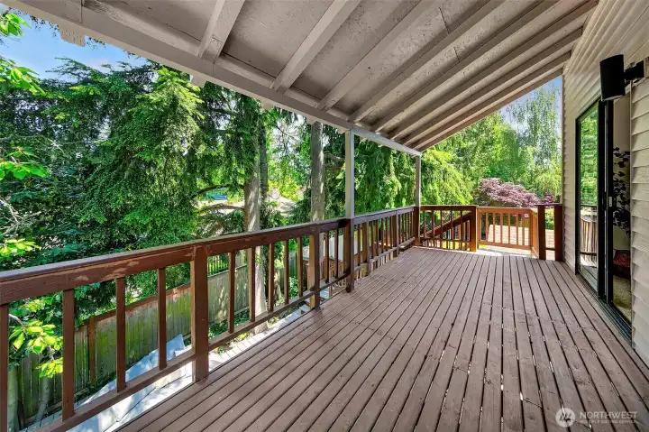 A covered outdoor space overlooking mature evergreens, extending the home's living and entertaining areas beyond the interior walls.