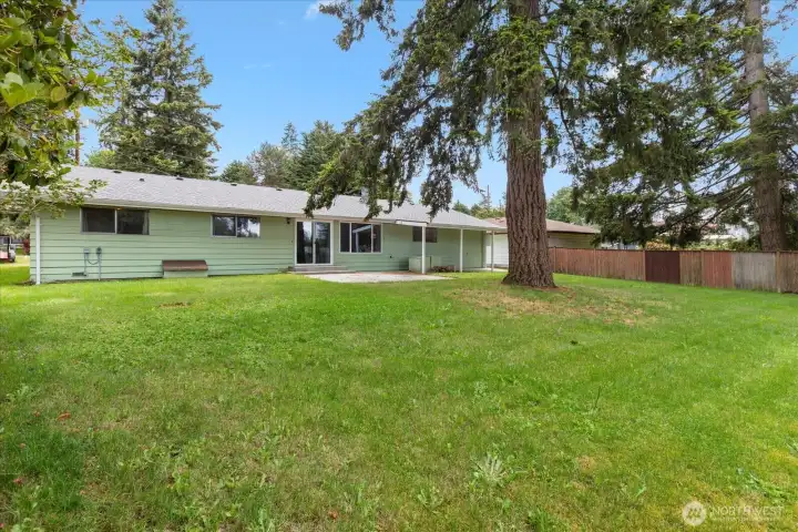 Large backyard. Large backyard.