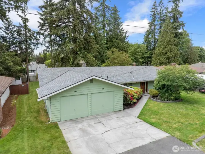 New roof! New roof!