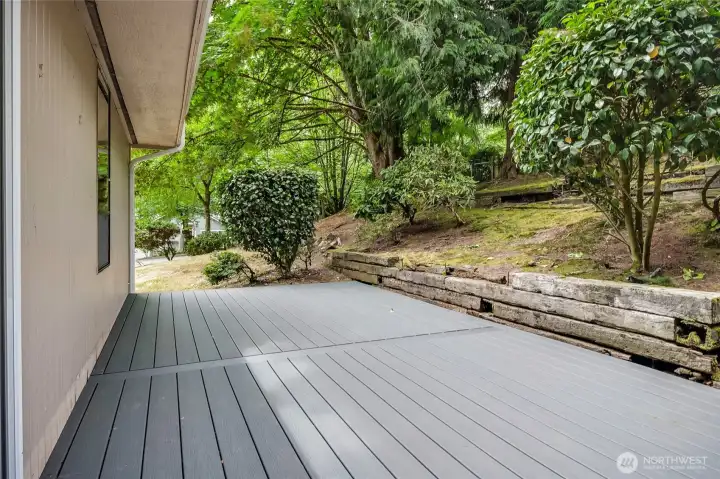 Backyard offers some beautiful mature plants Backyard offers some beautiful mature plants