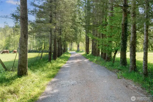 Long private driveway.