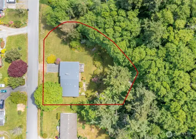 Aerial view with approximate lot lines