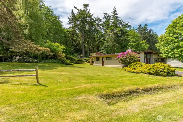 View of side of yard from Williams Rd