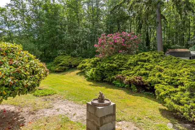 Lower yard near rear of home