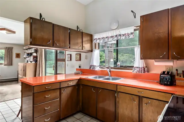 Kitchen with views over park like back yard