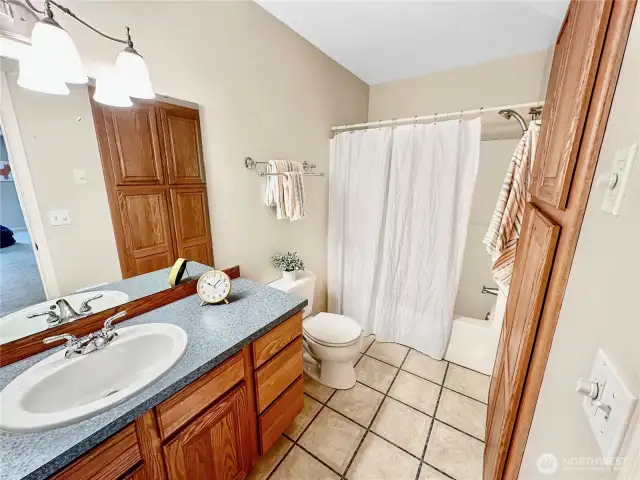 Lower level bath with tub/shower combo.