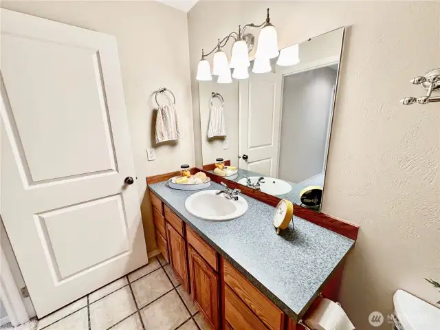 Lower level full bath with tile floor.