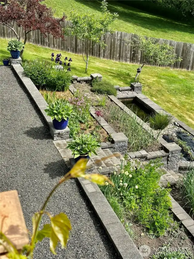 Terraced beds with perennials and water feature.