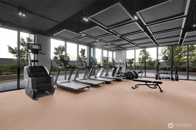 Fitness gym