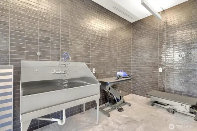 Pet wash room