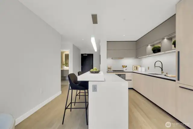 Sleek modern kitchen