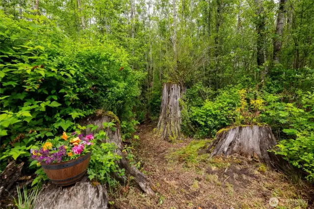 With many of the original stumps left in place and planted perennial gardens, you'll be surprised and delighted as you learn about all the plantings that have been done.