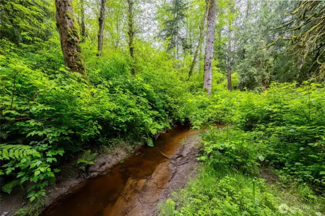 On a hot day, relaxing by the creek provides the perfect escape.