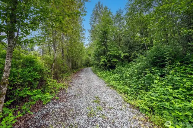 The tree lined driveway has been cleared and is ready for all your plans!