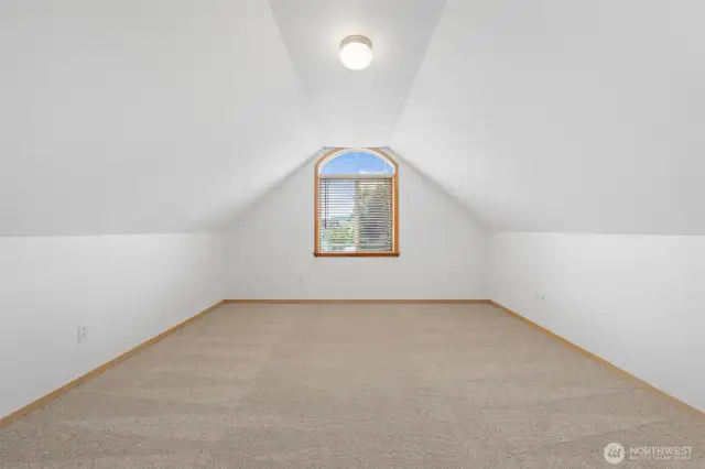 So many possibilities for this bonus room - playroom, home gym, theater room?  What will you do?