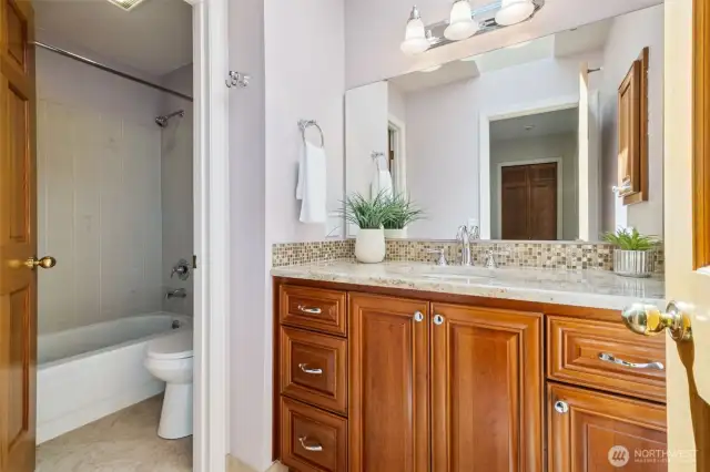 This is the remodeled hall bath with toilet/tub/shower with it's own door. Lots of storage in the vanity here.