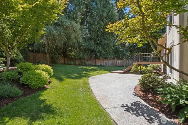 This is the side yard with cement walkway to the patio.