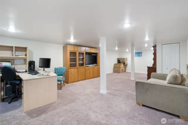 Lower level with a large open space. Game room, or a home theater? or ???