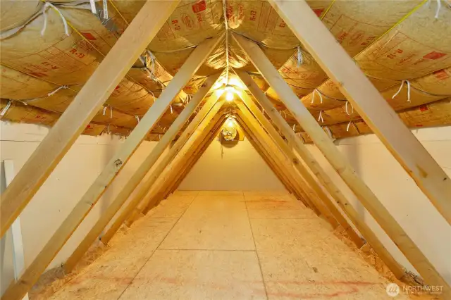 large attic storage space