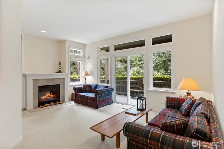 Lower-level family room wih gas fireplace
