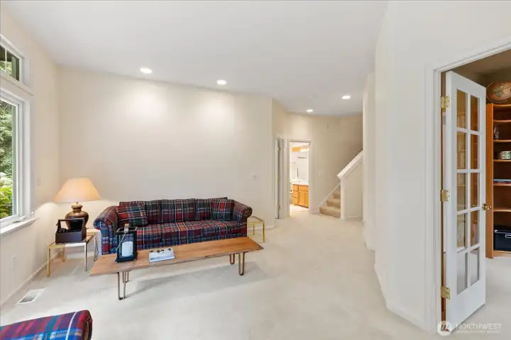 Lower-level family room