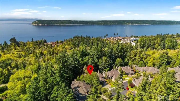 Location at red arrow
