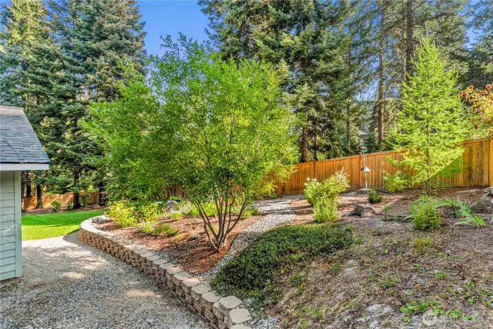Perennial Garden