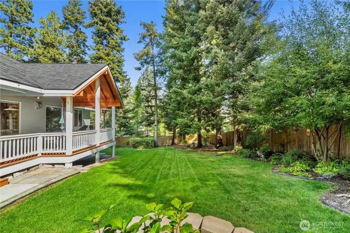 Lovely Backyard