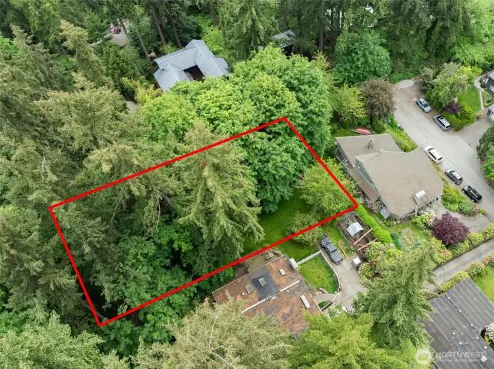 Surrounded by mature evergreen trees