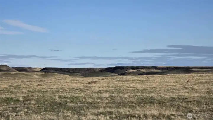 Eagle Springs Ranch 2