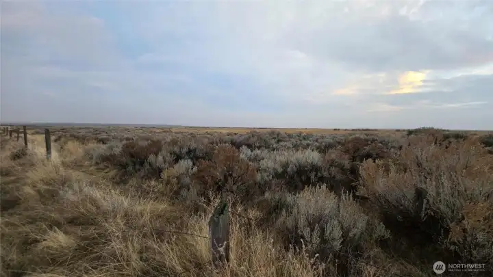 Gorgeous Natural Brush