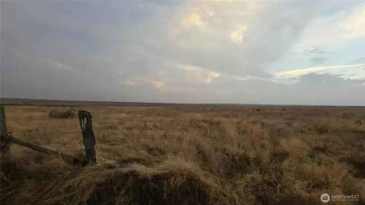 Partially Fenced - 40 acres of natural grasses and sagebrush of adventure.