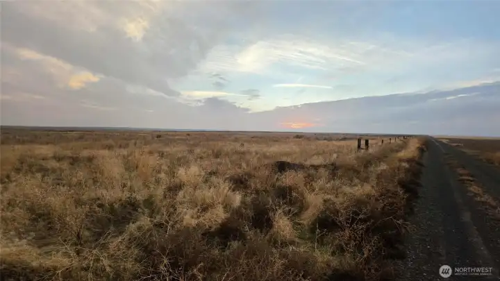 Tranquility - don't blink - you'll miss the wildlife visitors.