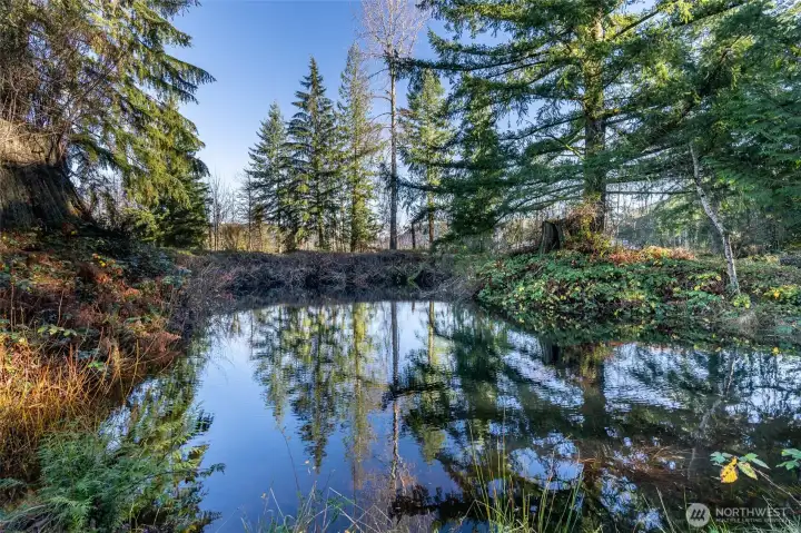 Pond with Bass ..... ** Nice Bonus !!!