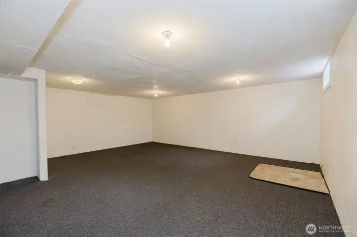 finished Bonus space in basement