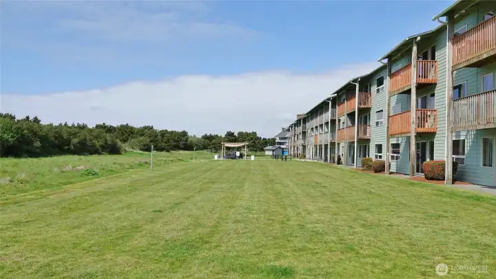 Large backyard lawn area.