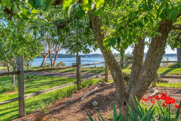 Beautiful gardens surround the home.
