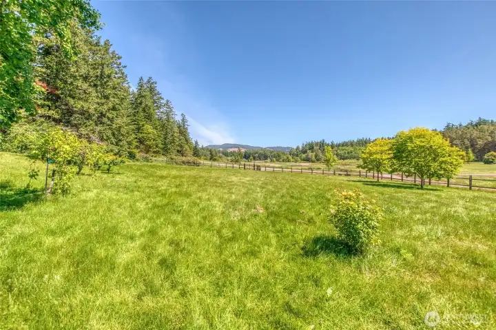 Entry to the home and property offers views of Turtleback Mountain and conserved open space.