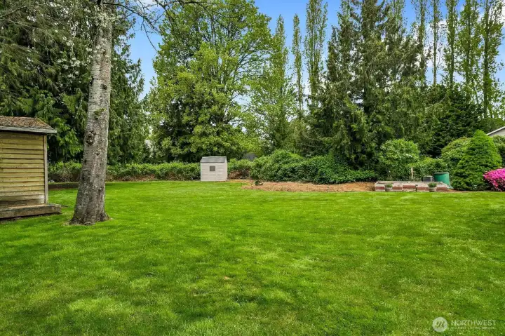 Host backyard parties