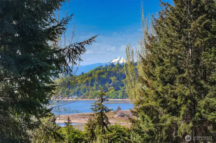 Welcome to this amazing Whidbey Island home nestled in the heart of Clinton on 2.2 acres.