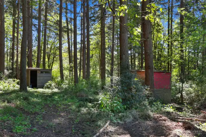 Wooded 2.2 acres with out buildings