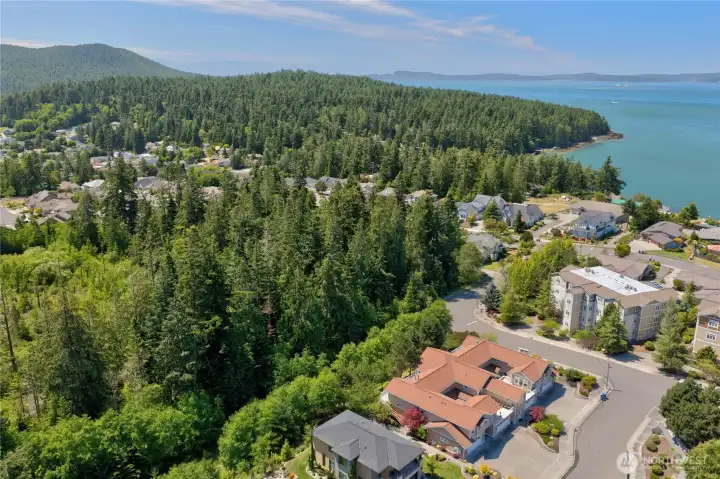 Aerial view highlighting the home's location within a peaceful condominium community surrounded by mature evergreens and just 15 minutes from downtown Anacortes.