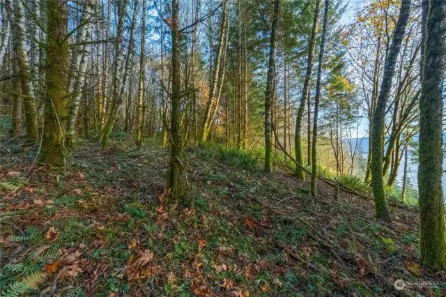 Gently sloping land toward view edge of property.