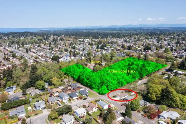 A place to experience nature, tranquil Alderwood park offers extensive walking trails