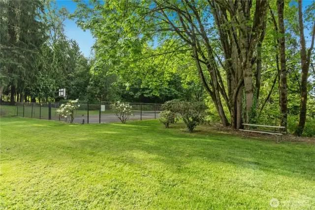 Tennis/pickleball court.