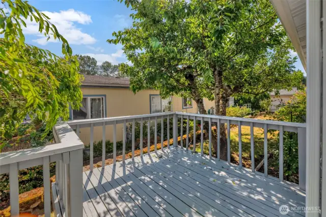 Patio Deck