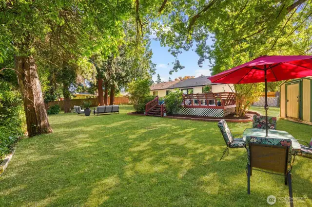 Time to dine al fresco!