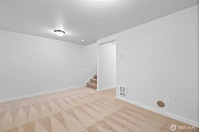 Downstairs Rec Room