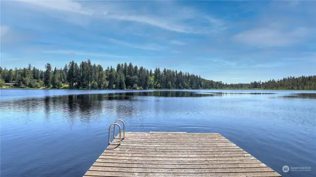 Enjoy your private dock looking out to this picture perfect view of Spring Lake! You will want to be here all summer long!